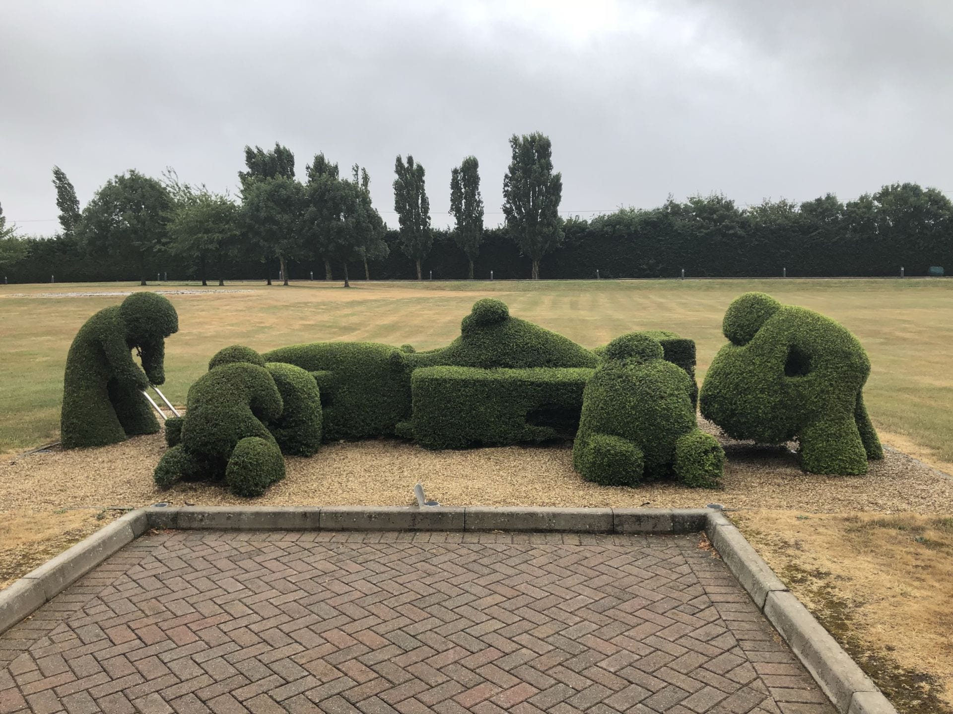 F1 car hedge