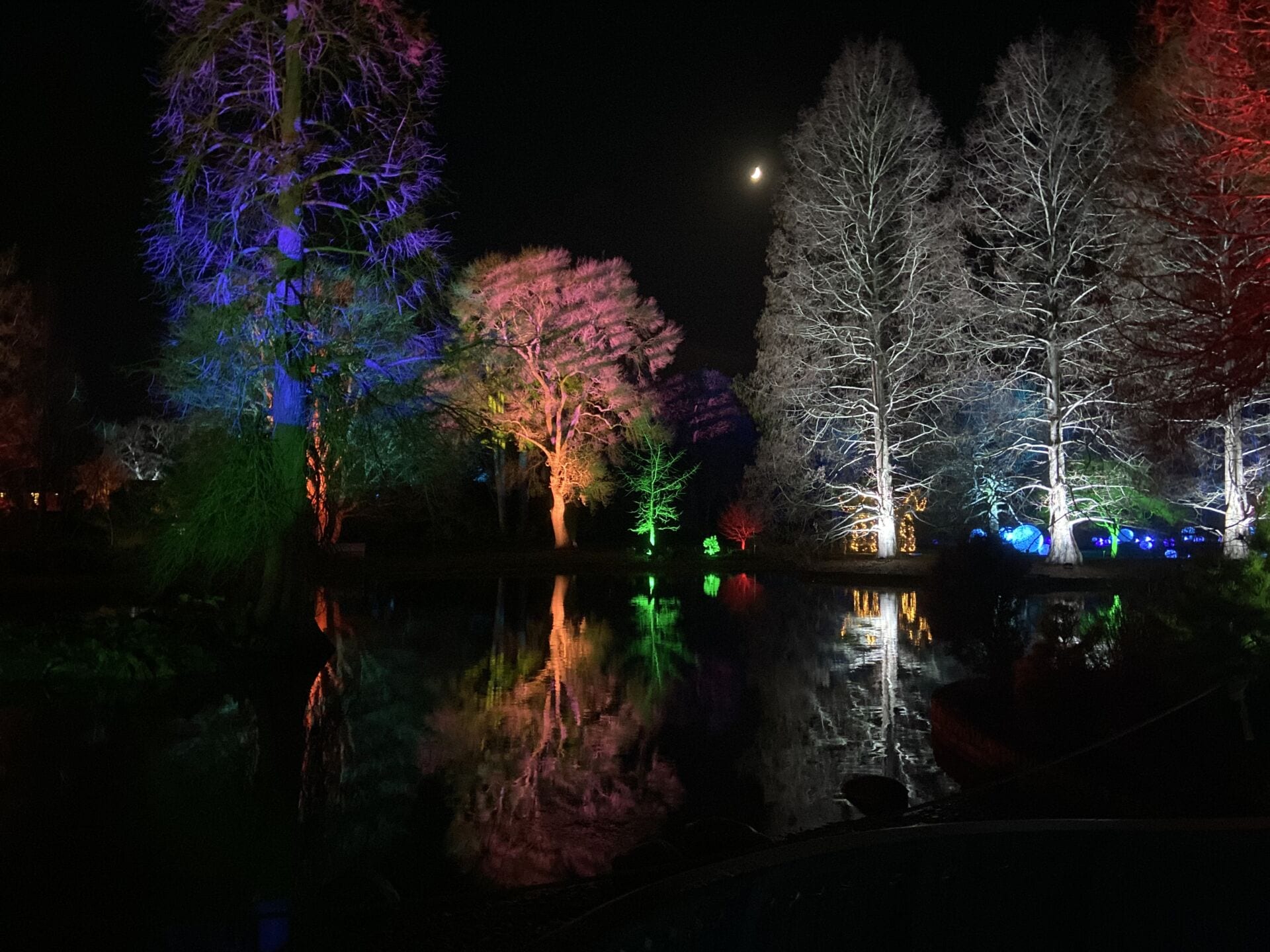 Trees lit up across a lake