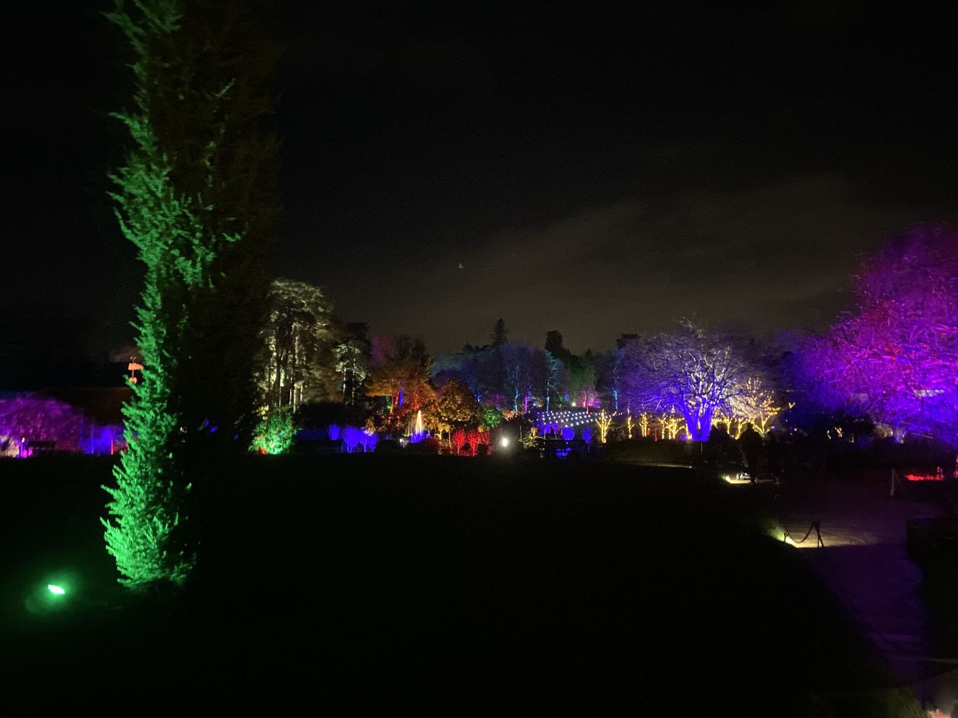 RHS Wisley Glow