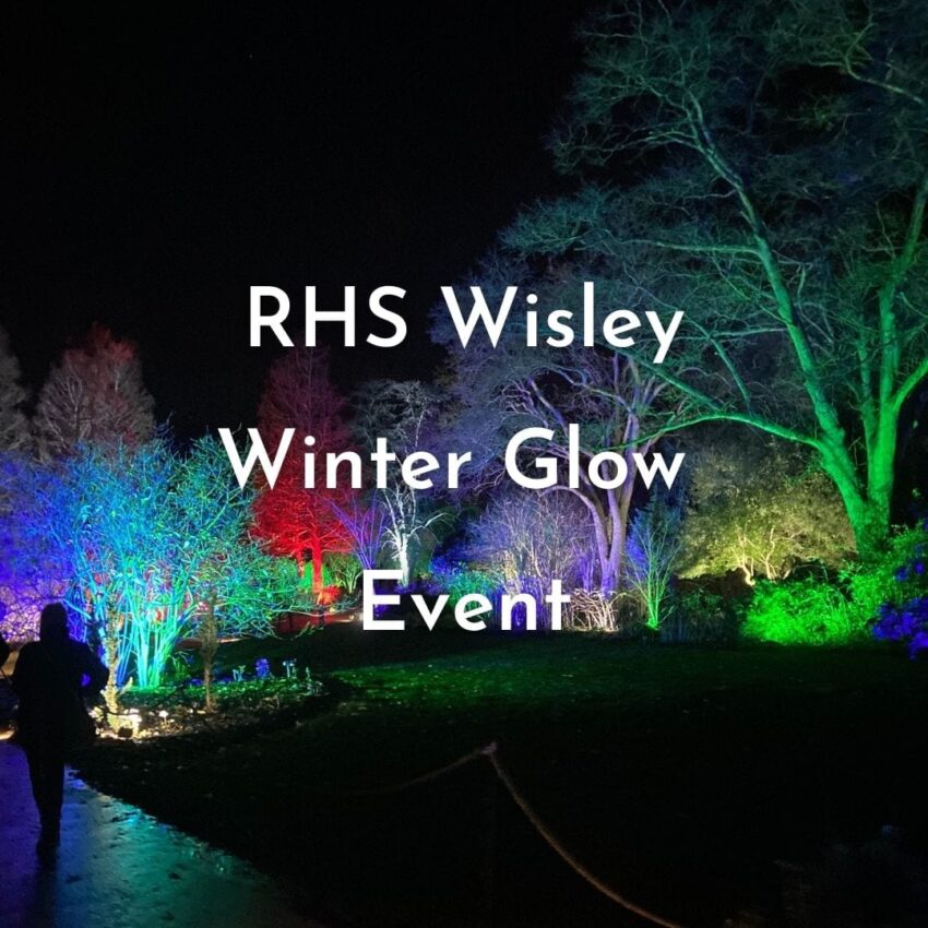 RHS Wisley Glow