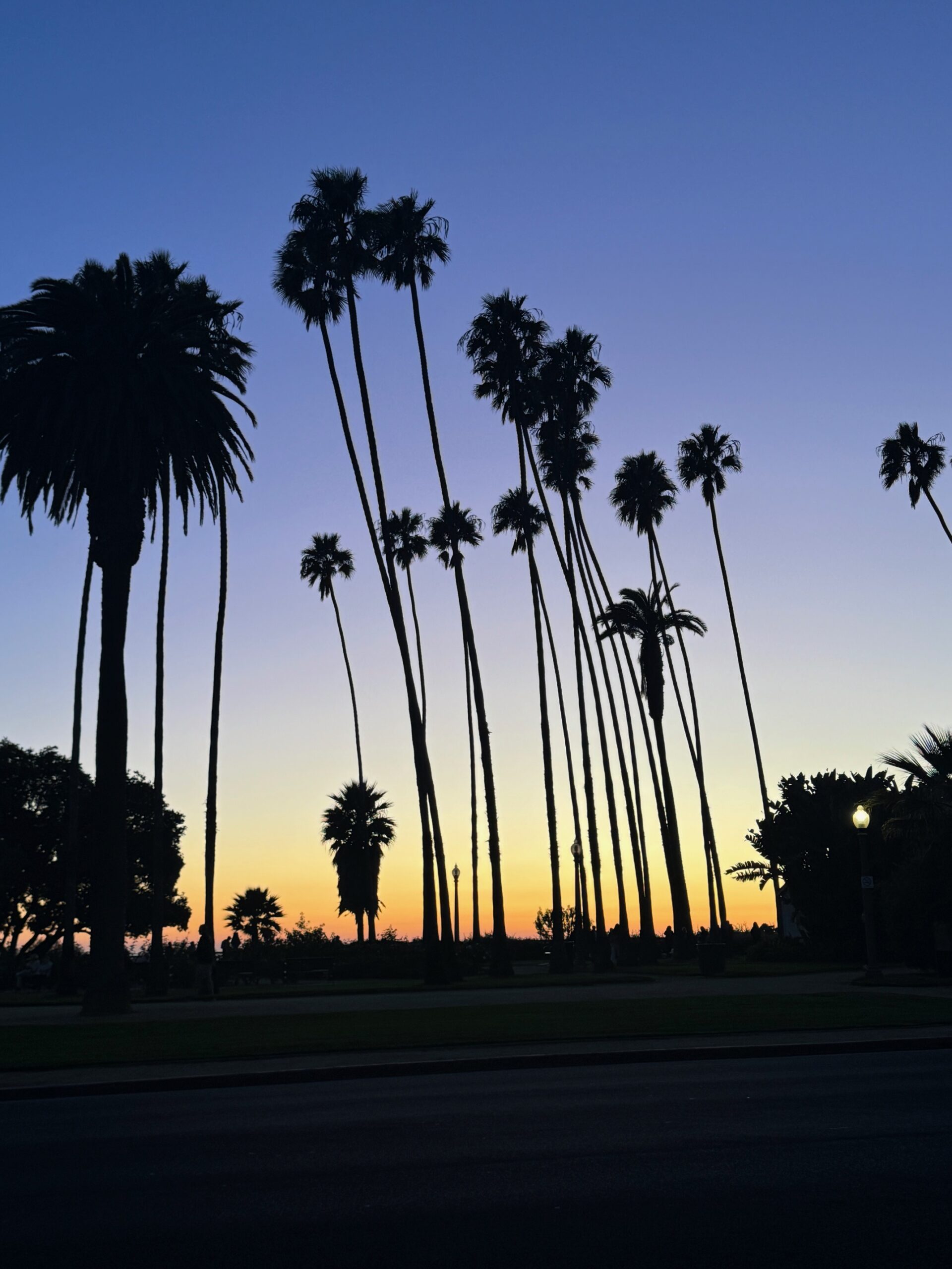 LA Sunset